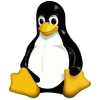 Linux Web hosting service Ahmedabad-Infosky Solutions
