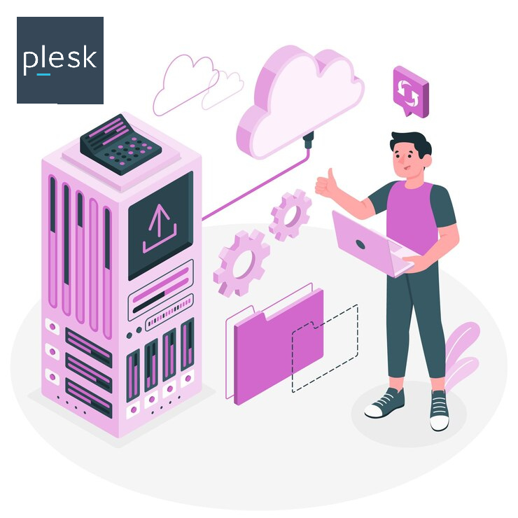 Reseller Hosting with plesk image from Infosky Solutions
