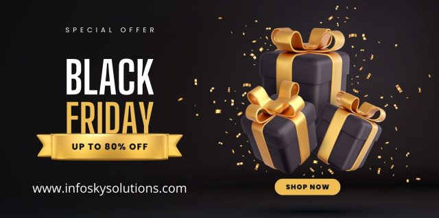 Infosky Solutions Black Friday sale 2023 : Domain Flash Sale .in Domain RS. 49 and .co.in Domain RS. 39 | Domain Hosting Combo Rs 1099 only